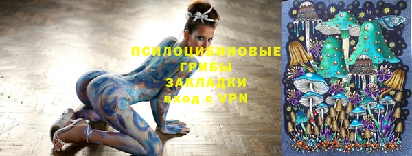 молекула духа Алзамай